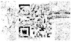 Entropy 26 01130 i033