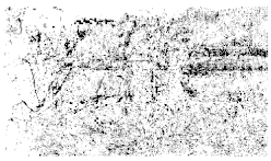 Entropy 26 01130 i041