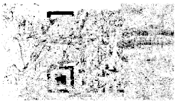 Entropy 26 01130 i042