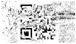 Entropy 26 01130 i043