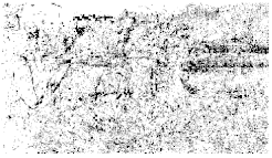 Entropy 26 01130 i046