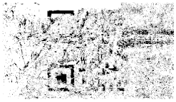 Entropy 26 01130 i047