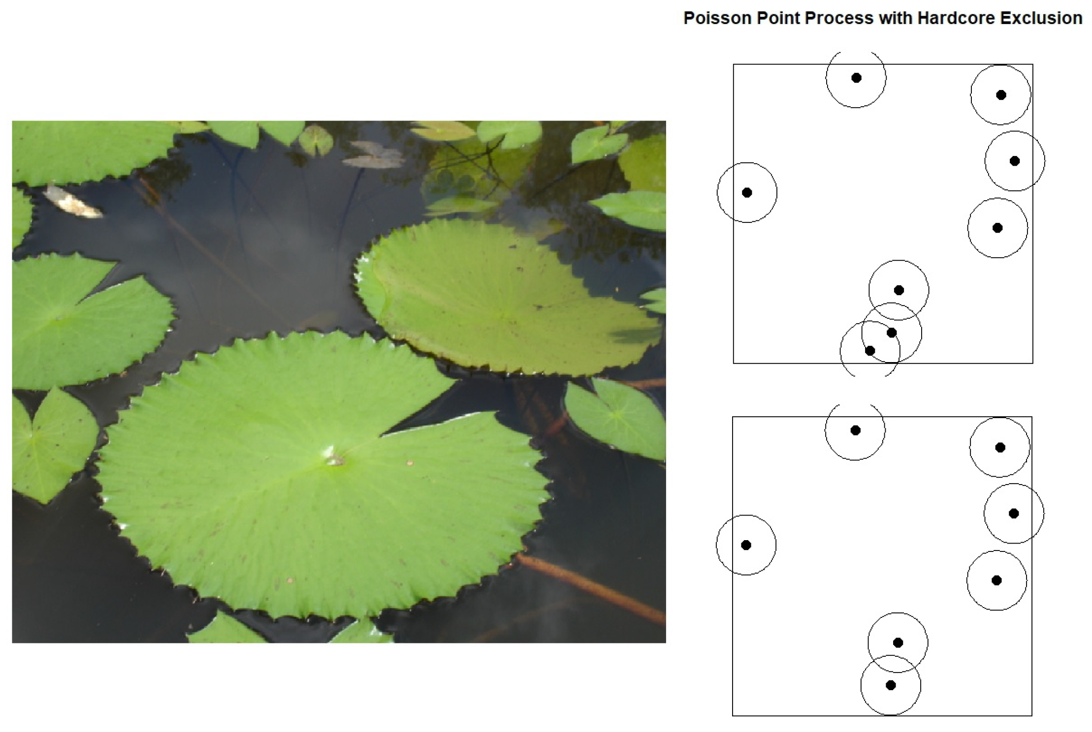 Entropy 27 00006 g005