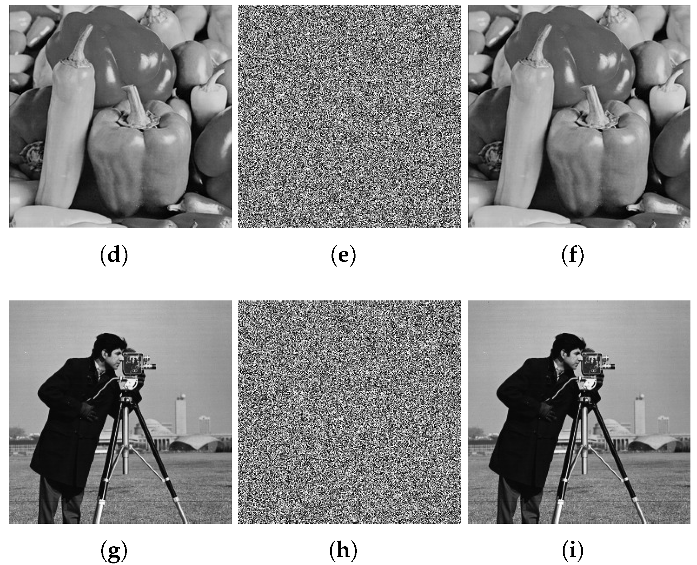 Entropy 27 00040 g003b