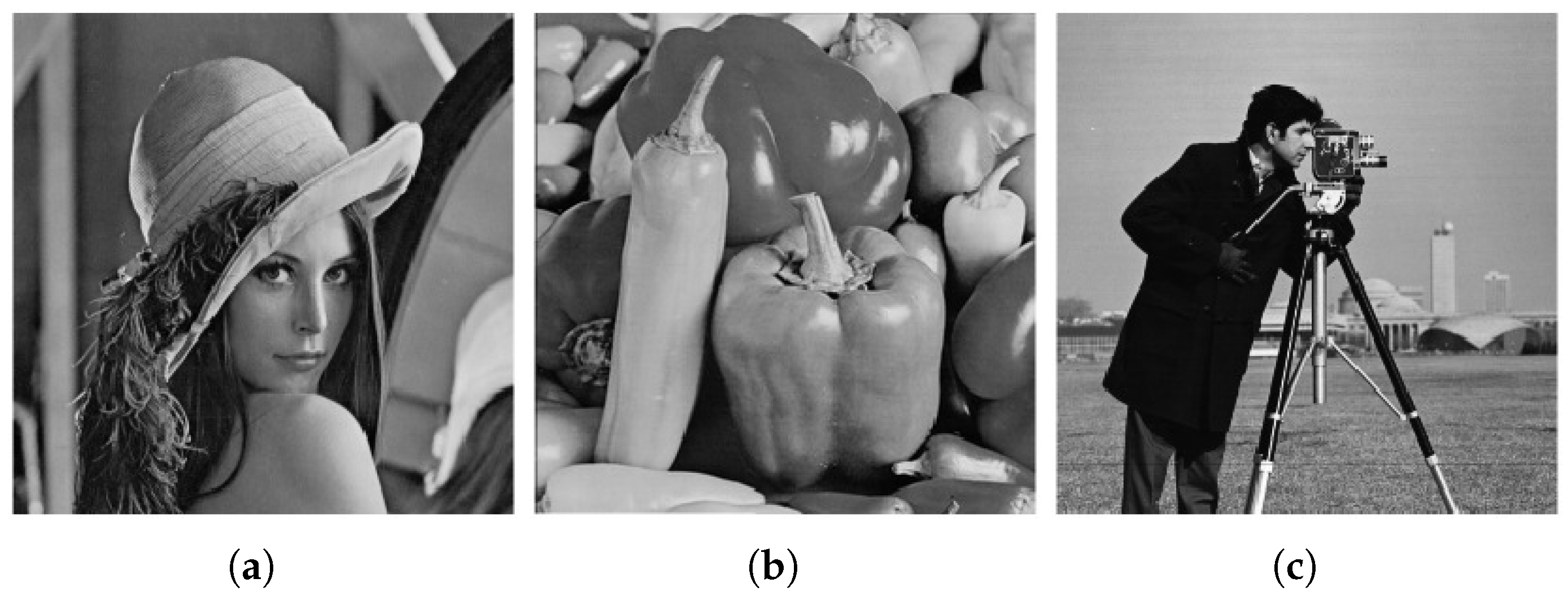 Entropy 27 00040 g017a