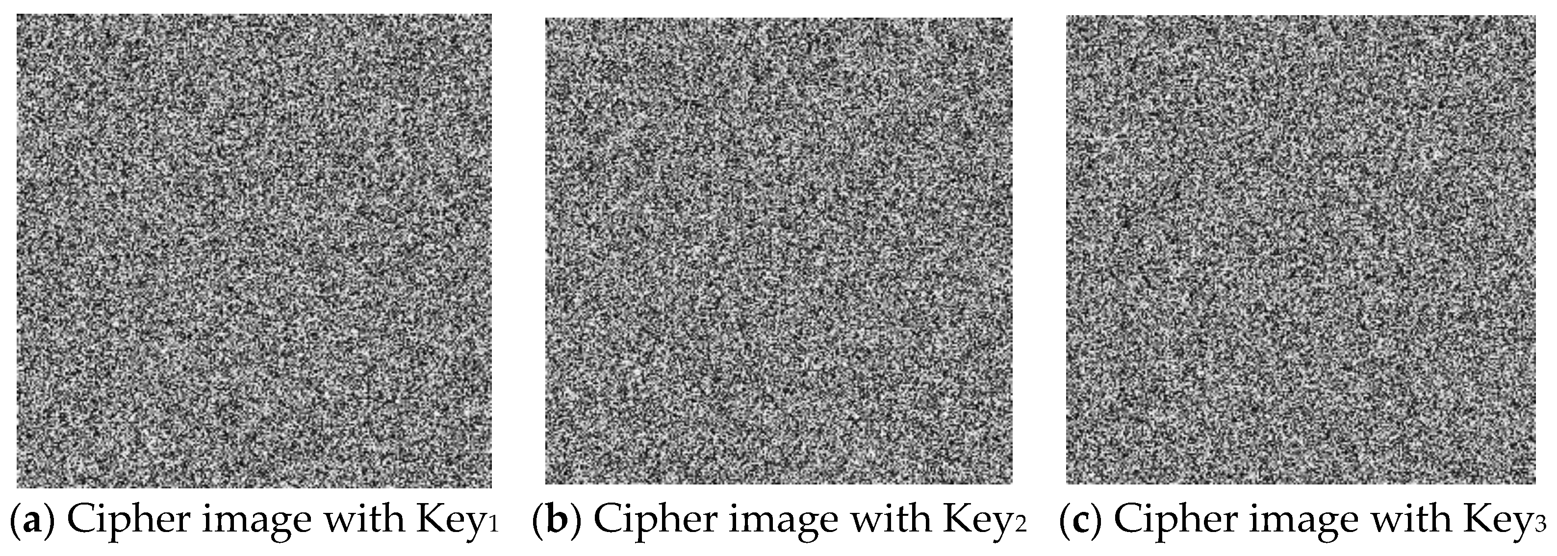 Entropy 27 00084 g012 Entropy 27 00084 g012