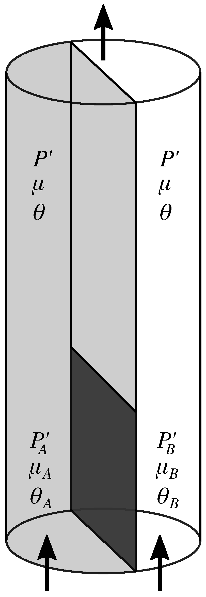 Entropy 27 00121 g003 Entropy 27 00121 g003