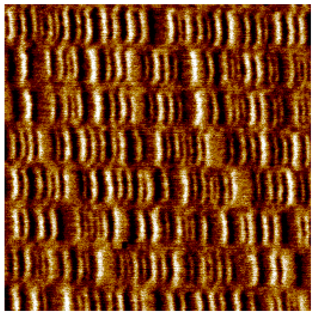 Entropy 27 00129 g005