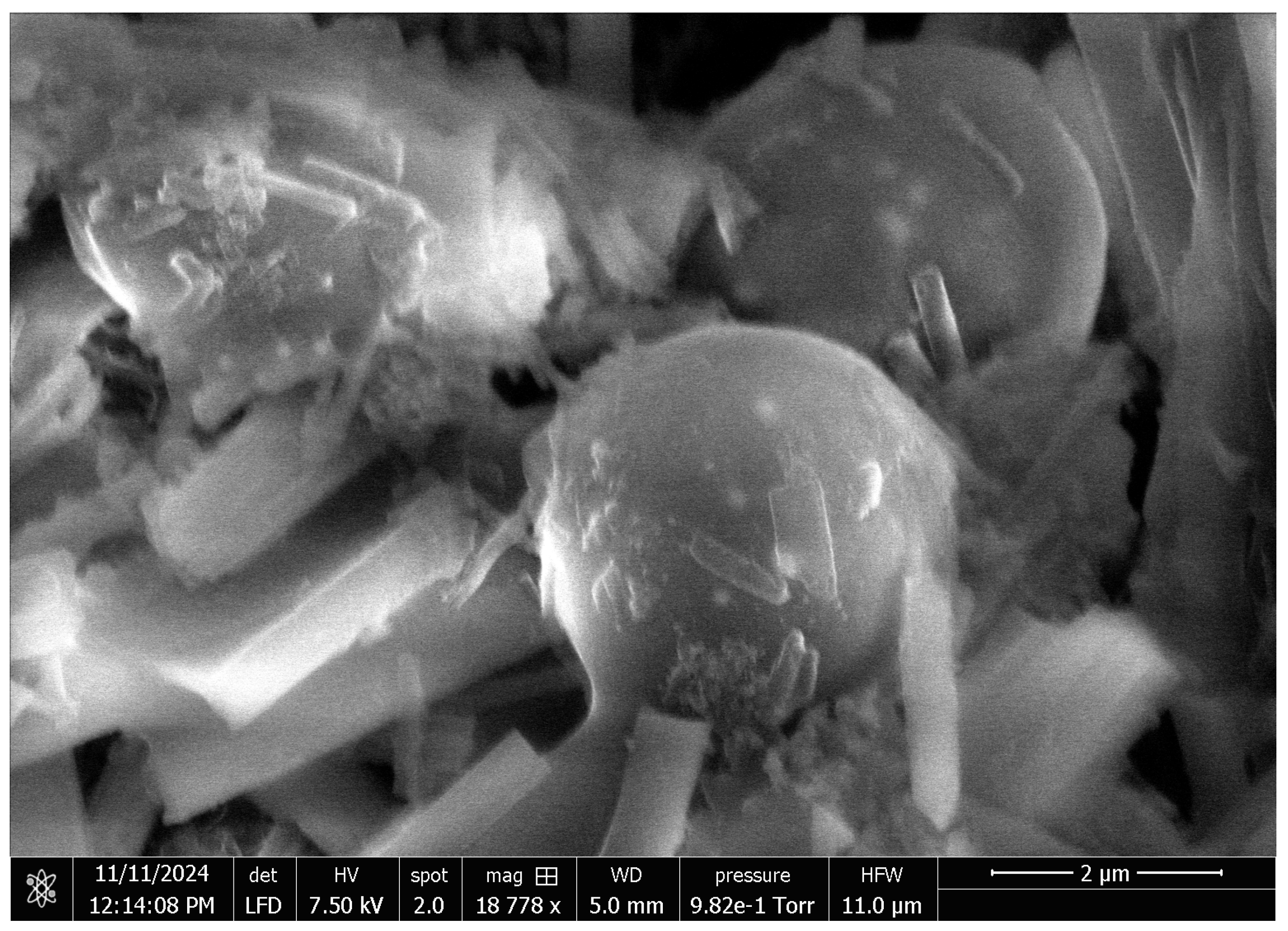 Entropy 27 00145 g003