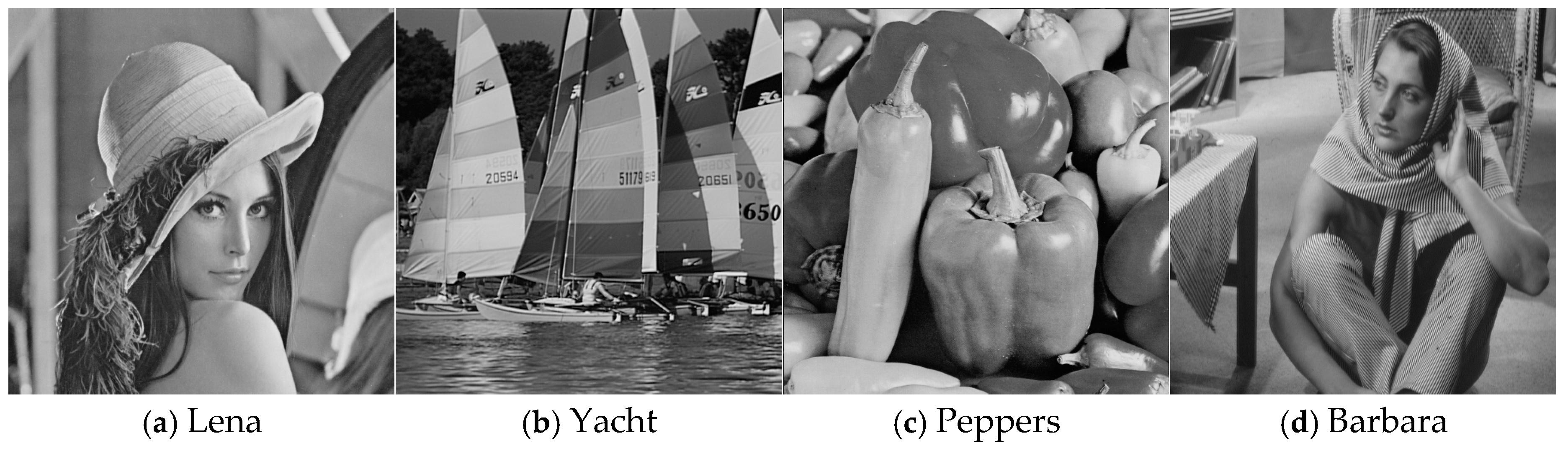 Entropy 27 00159 g008