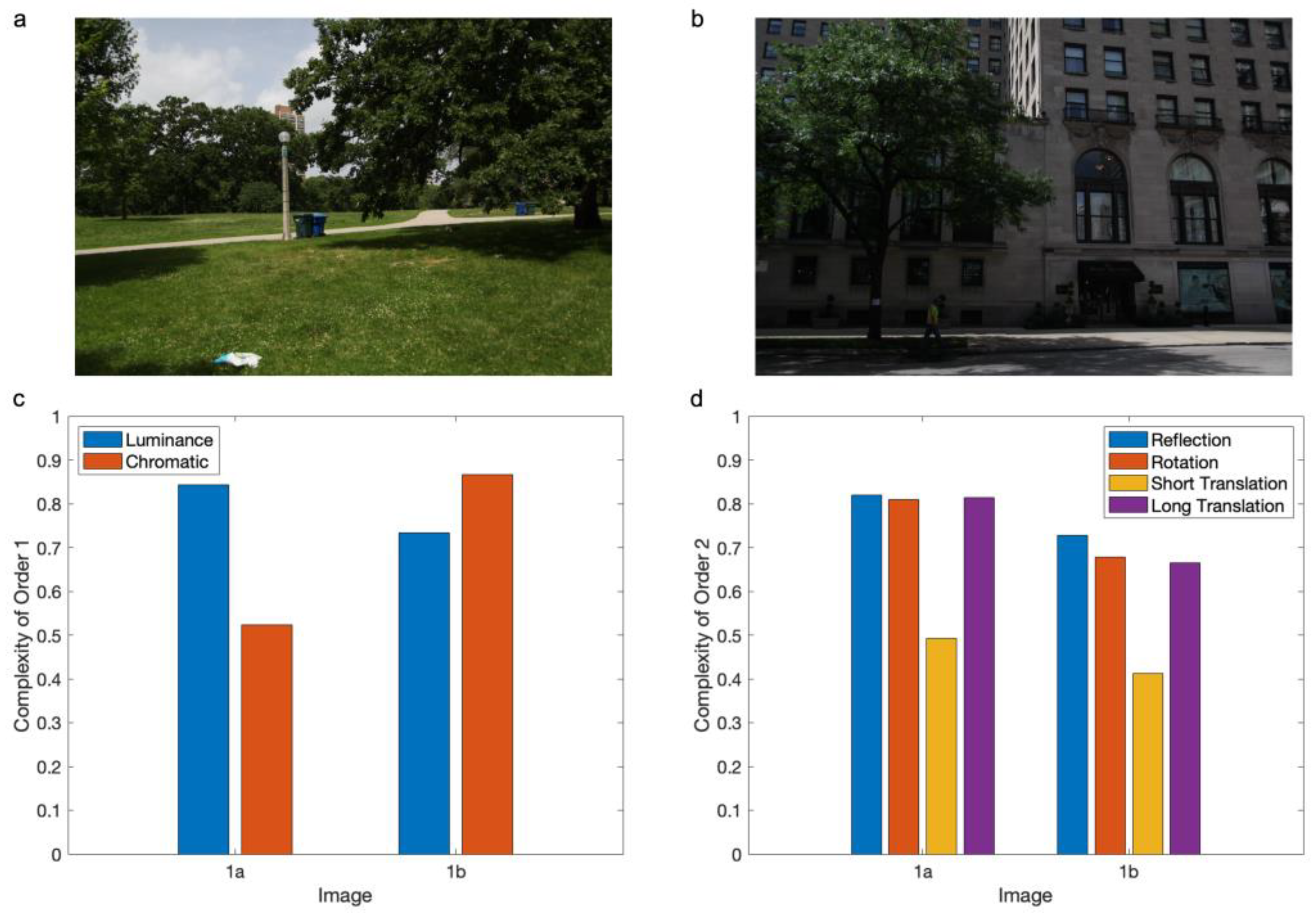 Entropy 27 00166 g001