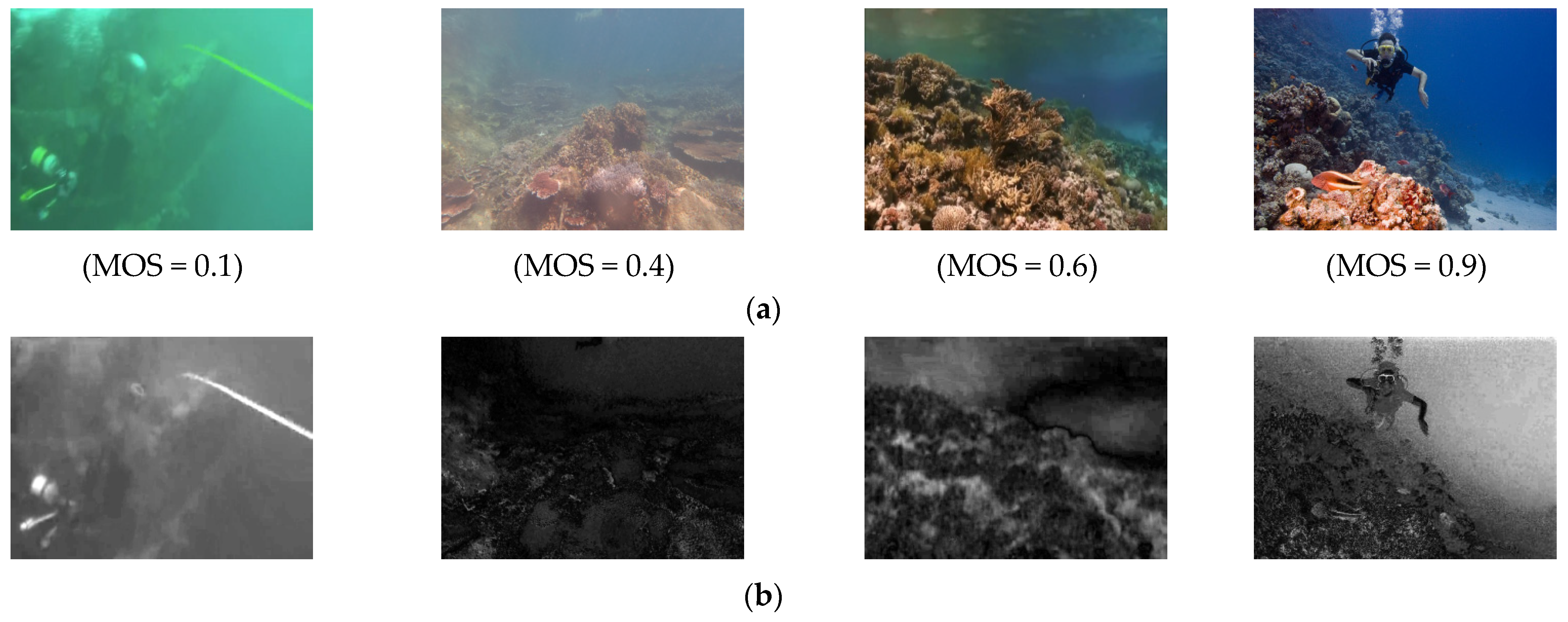 Entropy 27 00173 g002