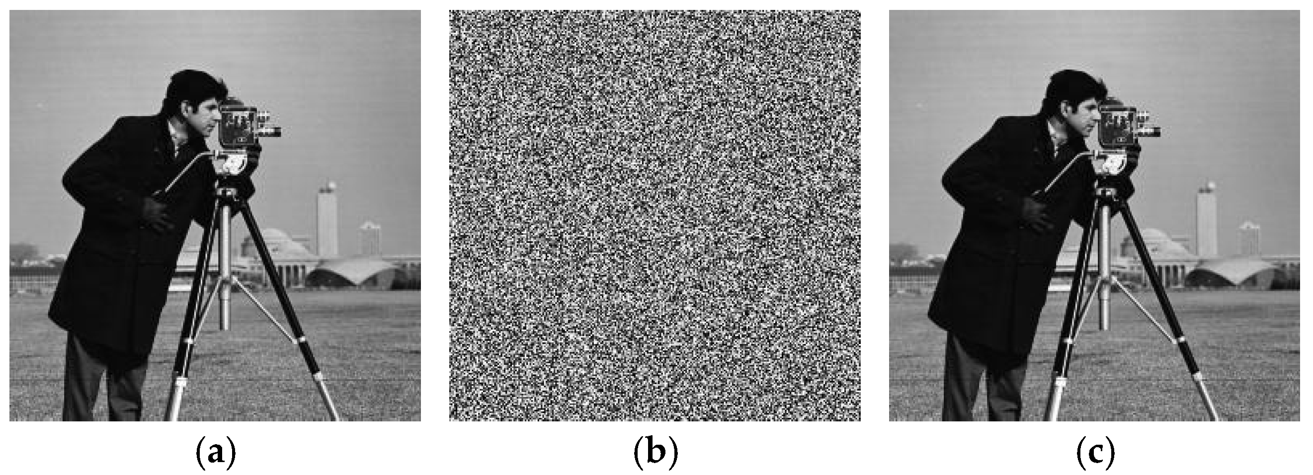 Entropy 27 00239 g006a