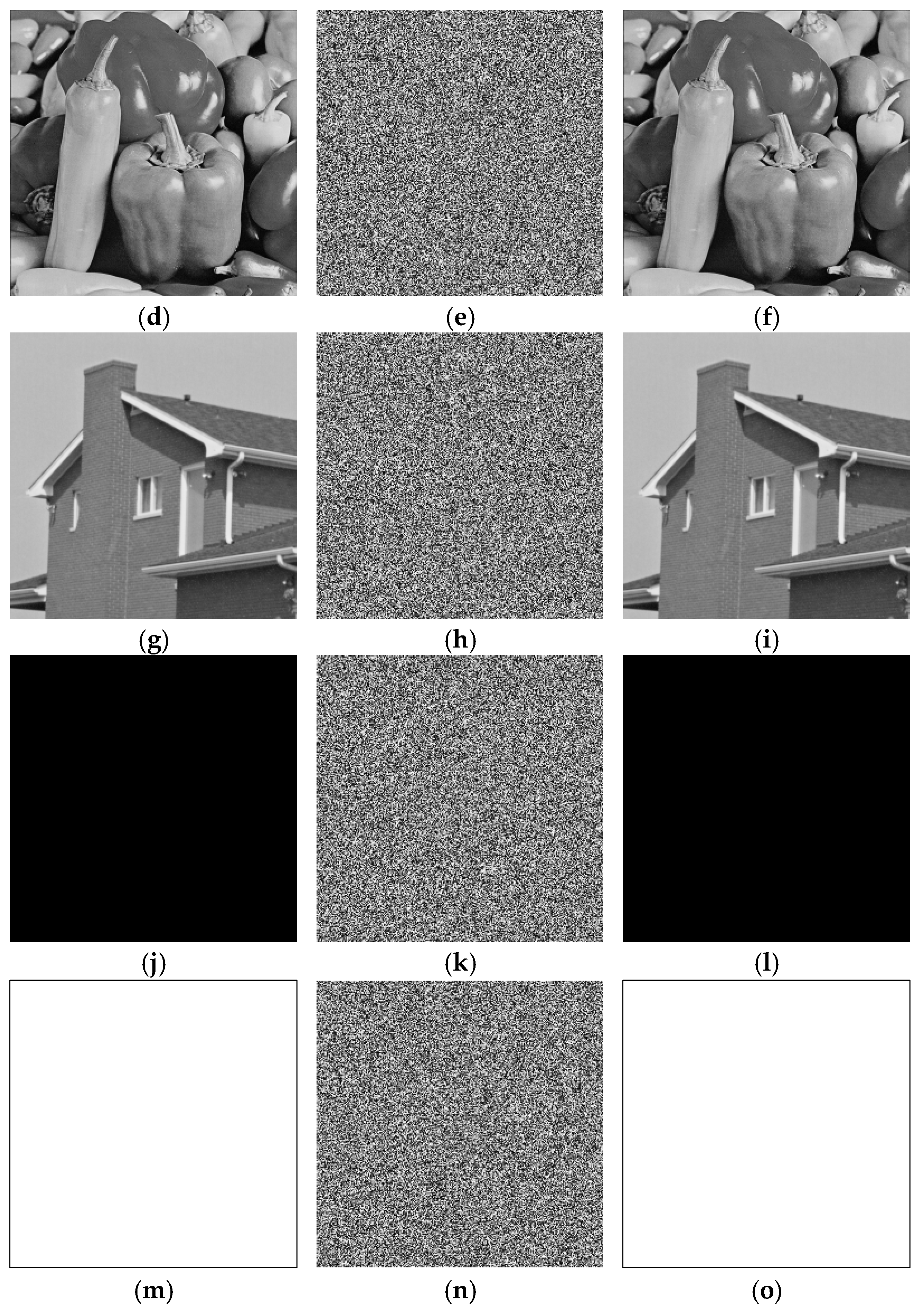 Entropy 27 00239 g006b