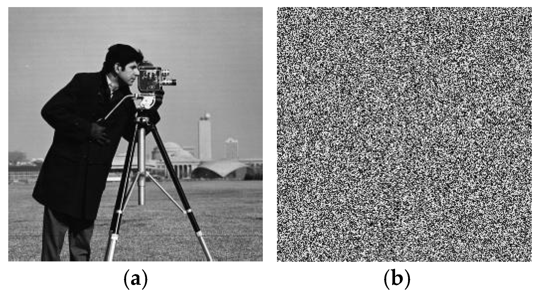 Entropy 27 00239 g007