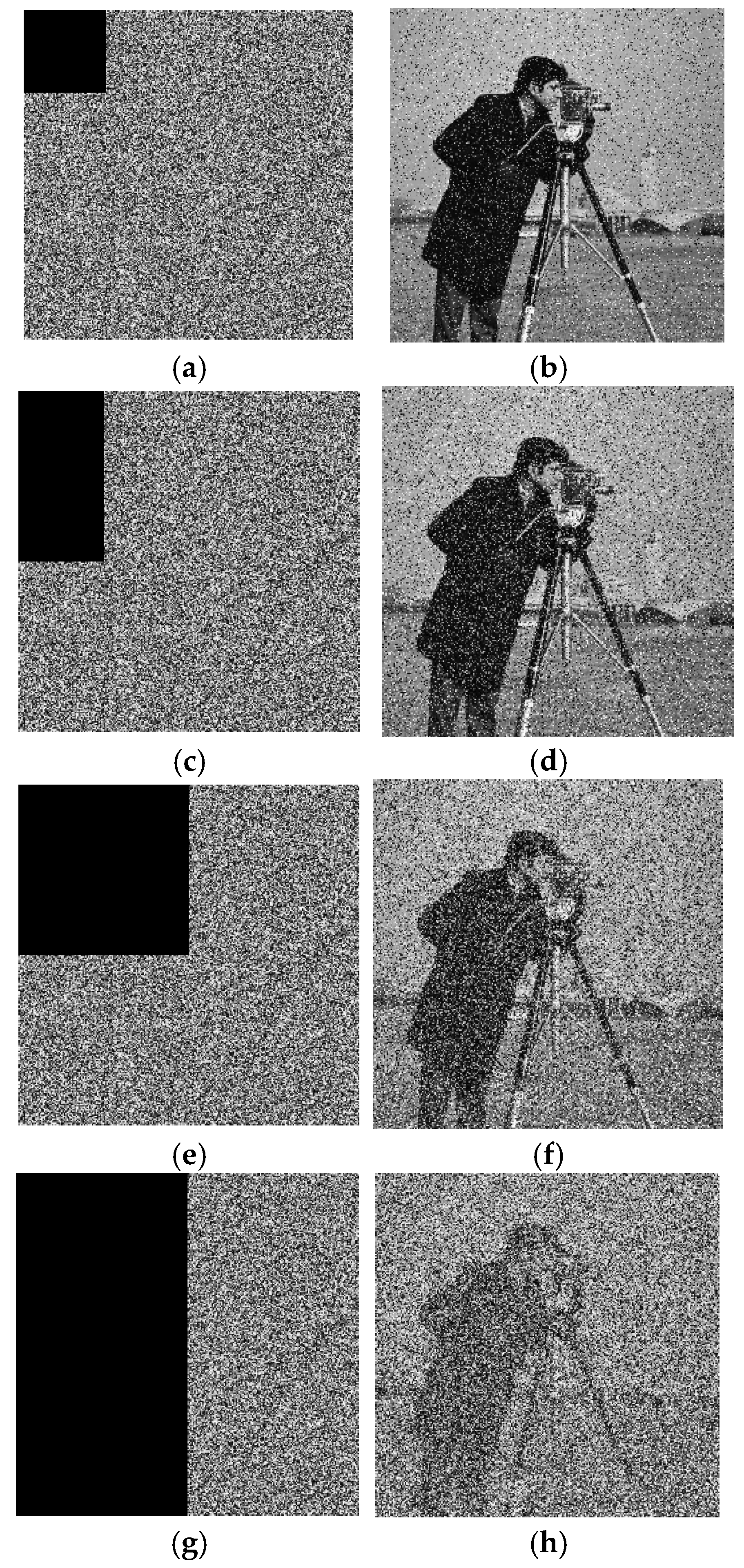 Entropy 27 00239 g010