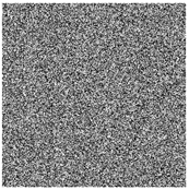 Entropy 27 00239 i003