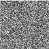 Entropy 27 00239 i011