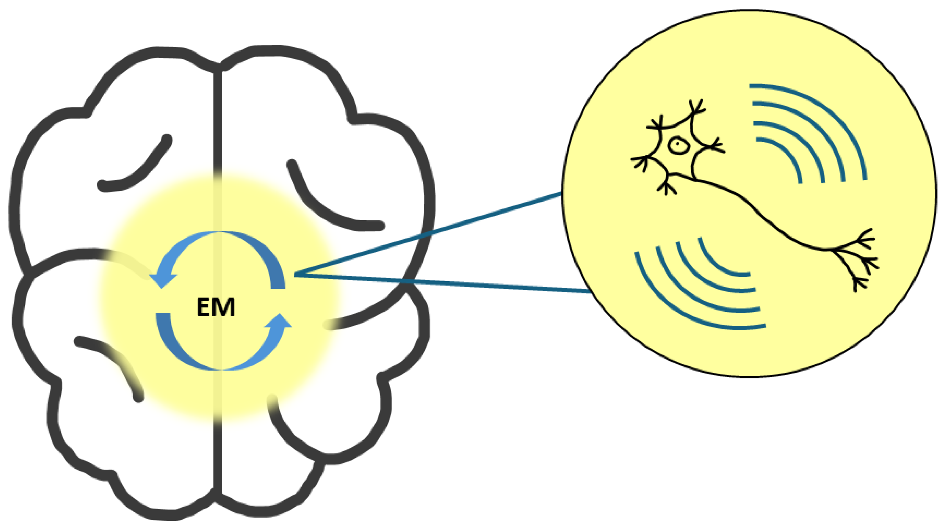 Entropy 27 00243 g002 Entropy 27 00243 g002