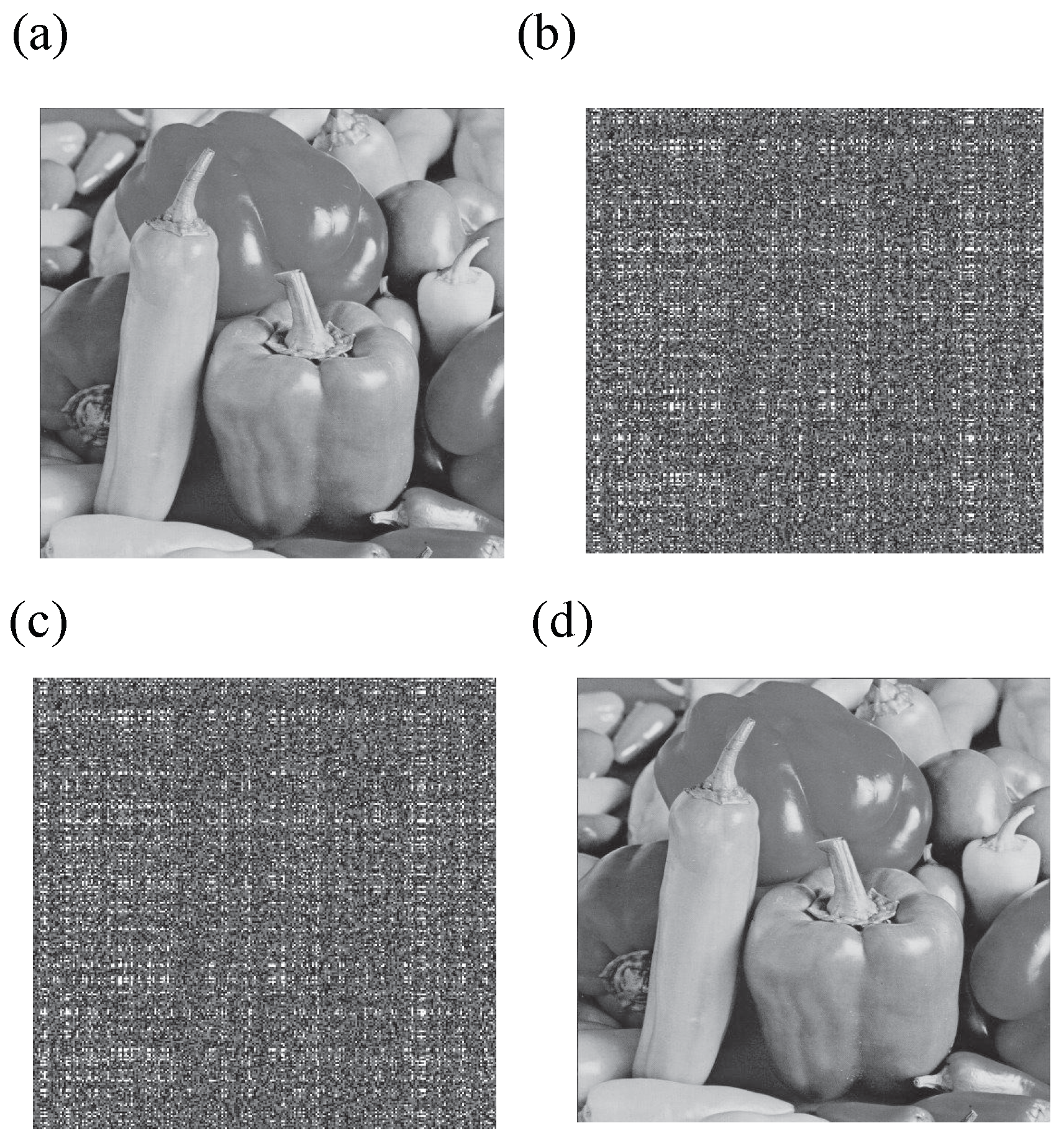 Entropy 27 00276 g005
