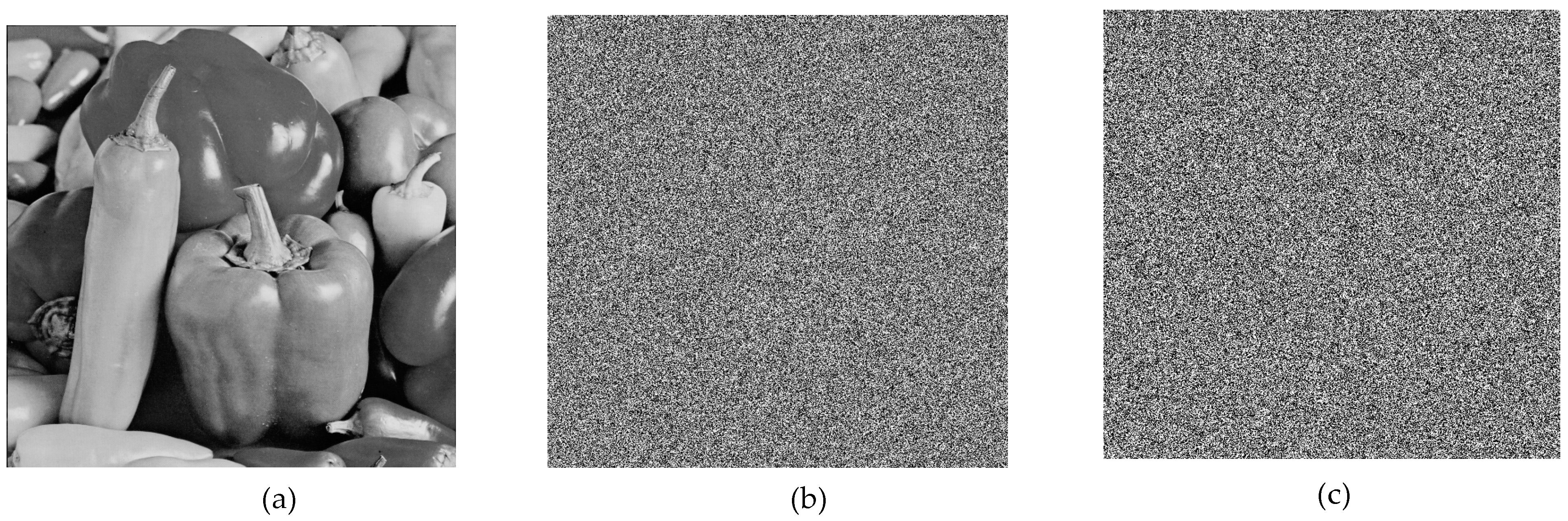 Entropy 27 00299 g016