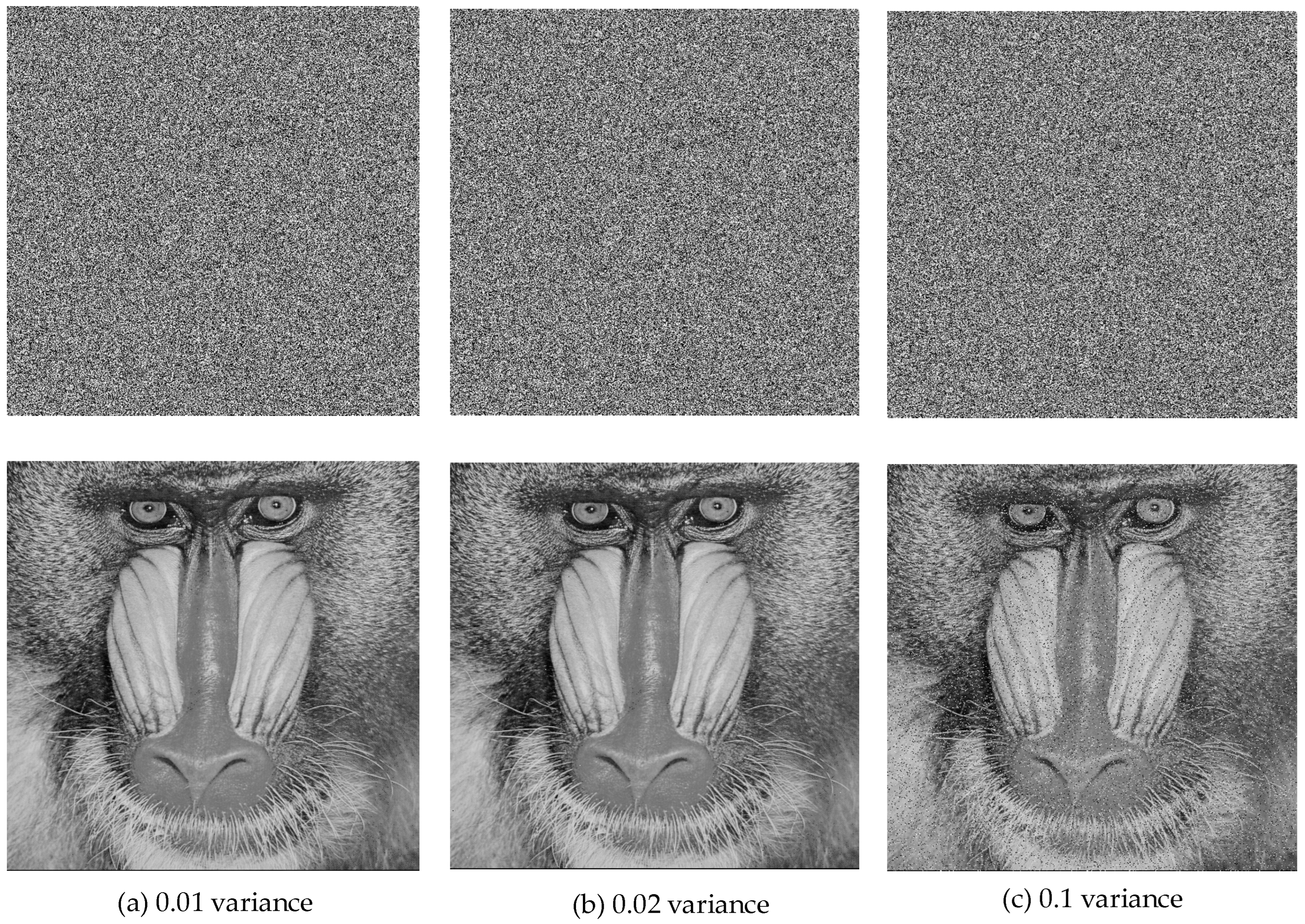 Entropy 27 00299 g018