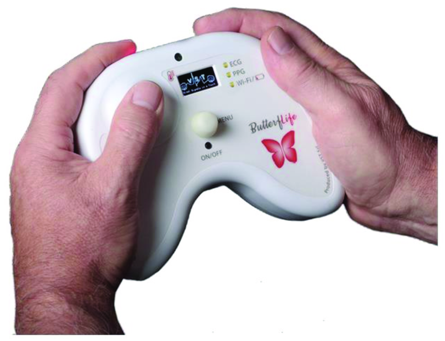 Entropy 27 00326 g001