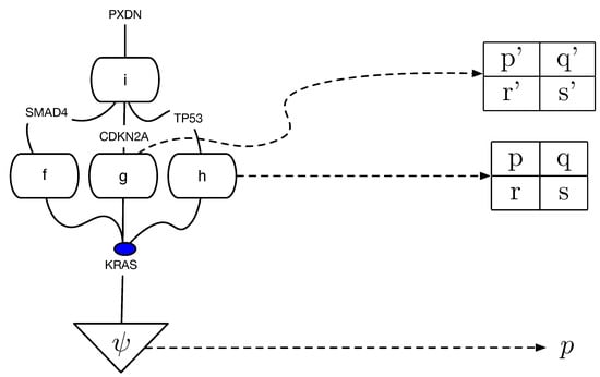 Entropy 27 00531 g012