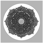 Entropy 27 00546 i005