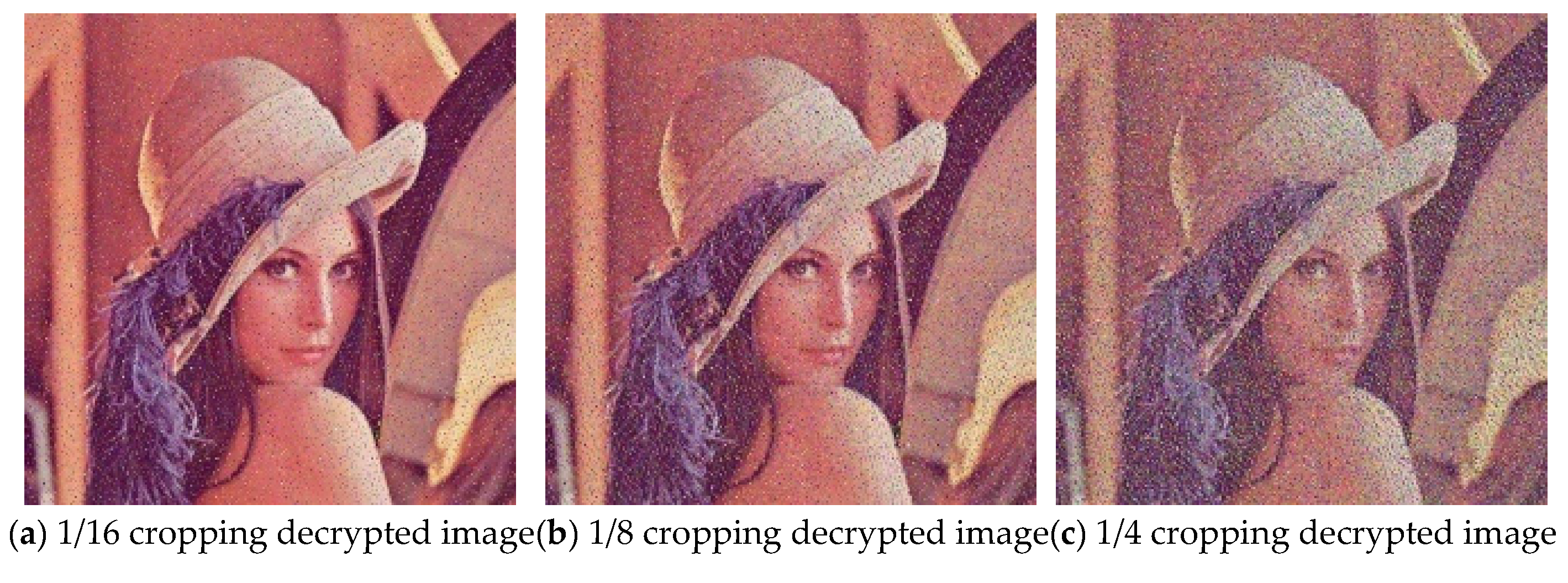 Entropy 27 00574 g008