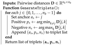 Entropy 27 00813 i001