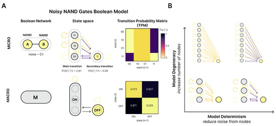 Entropy 27 00825 g0a4