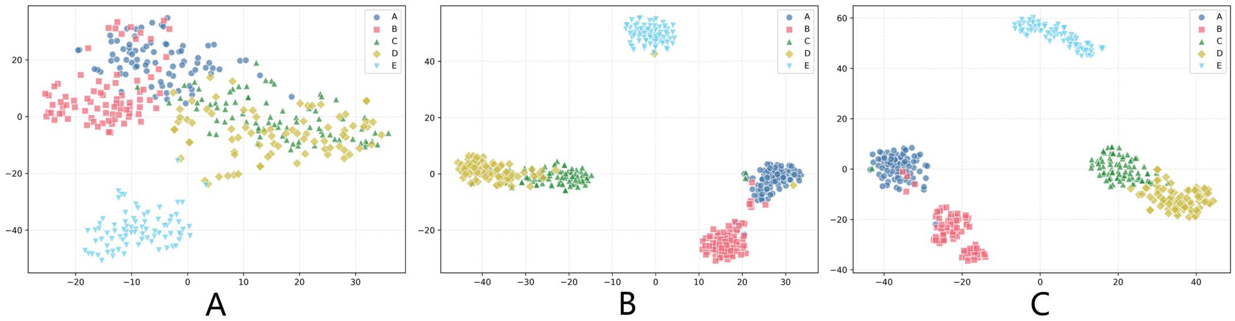 Entropy 27 00830 g005
