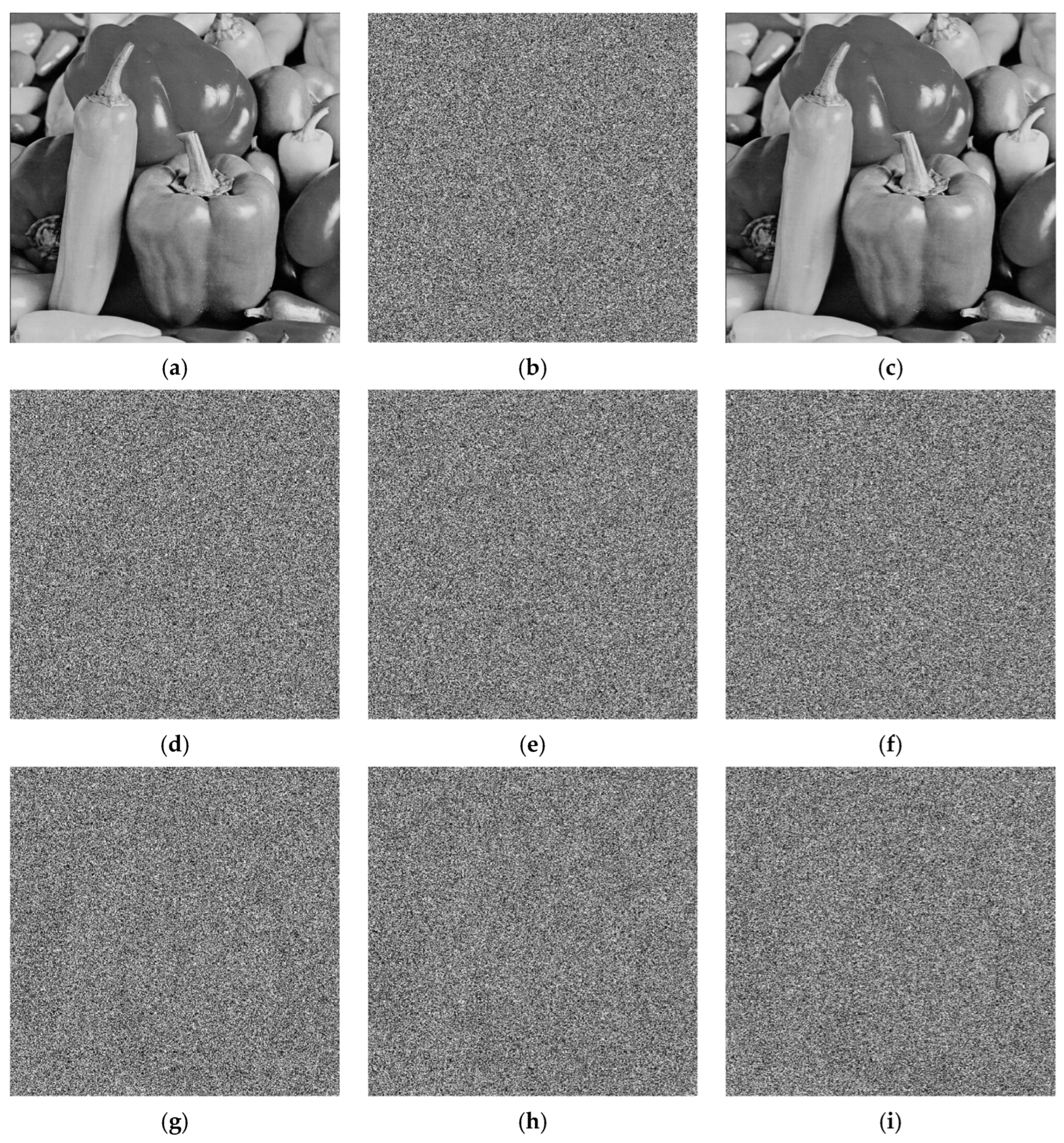Entropy 27 00874 g015 Entropy 27 00874 g015