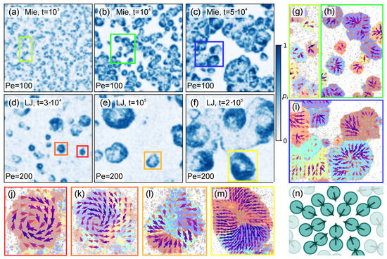 Entropy 27 01105 g005