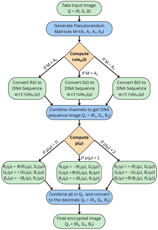Entropy 27 01149 g008