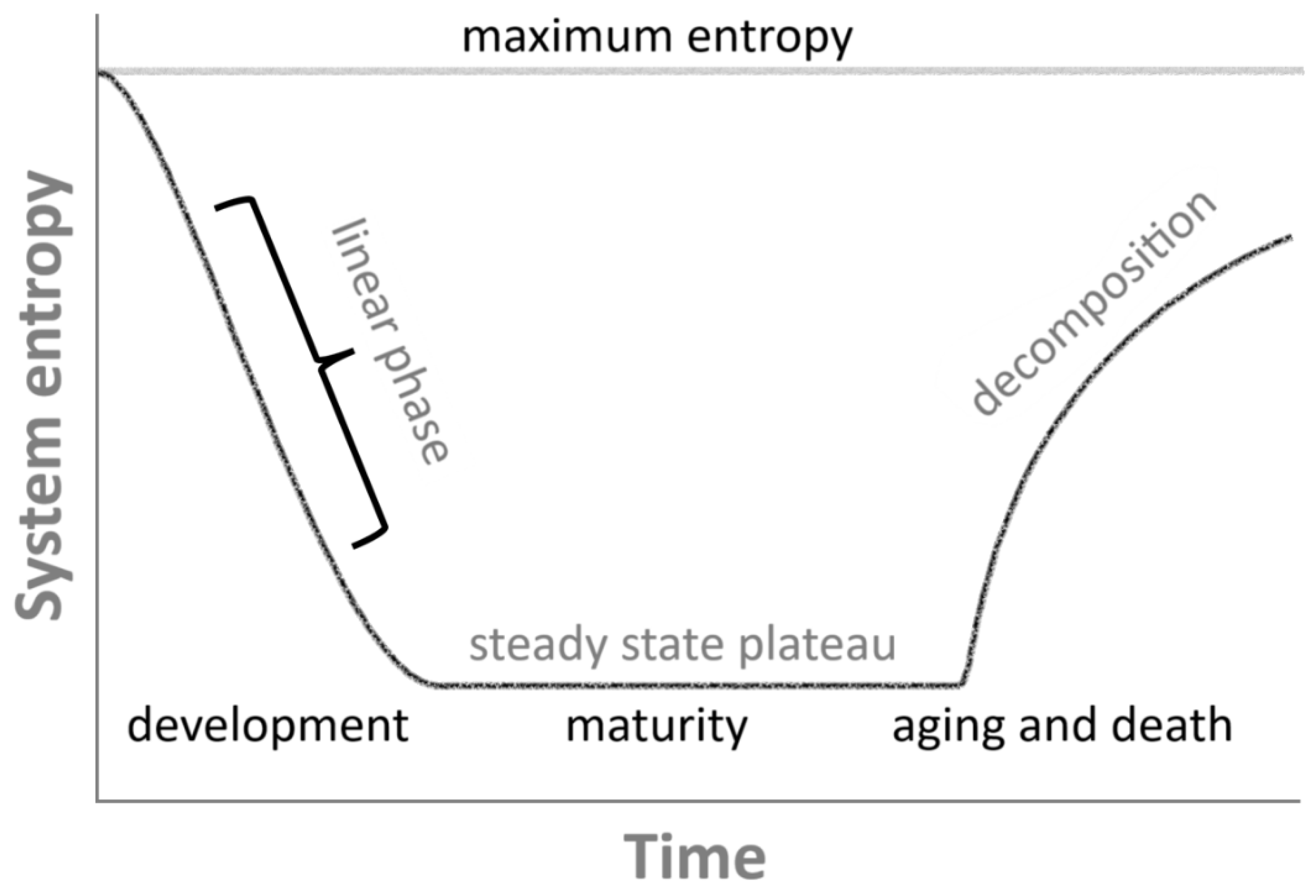 Entropy 28 00139 g001 Entropy 28 00139 g001