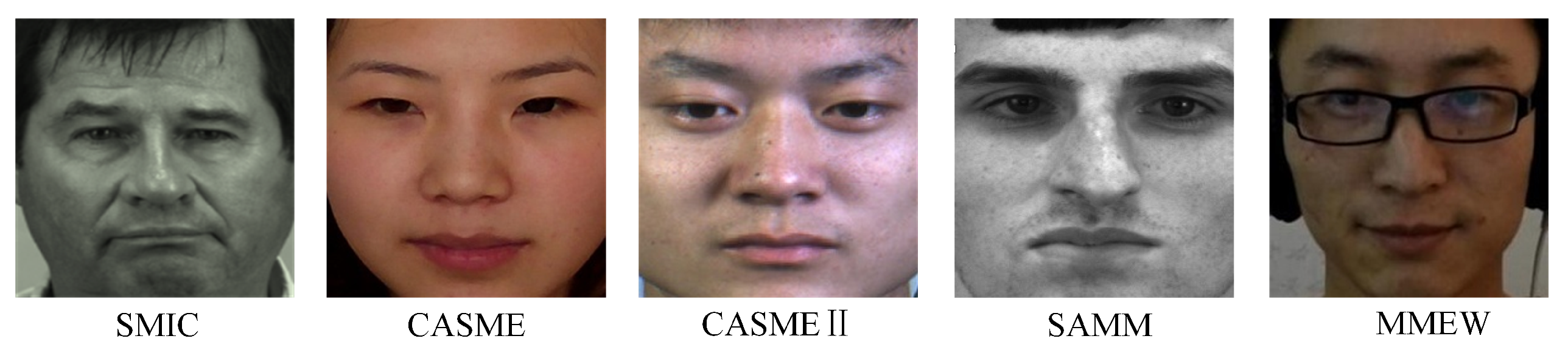 Entropy 28 00150 g002 Entropy 28 00150 g002