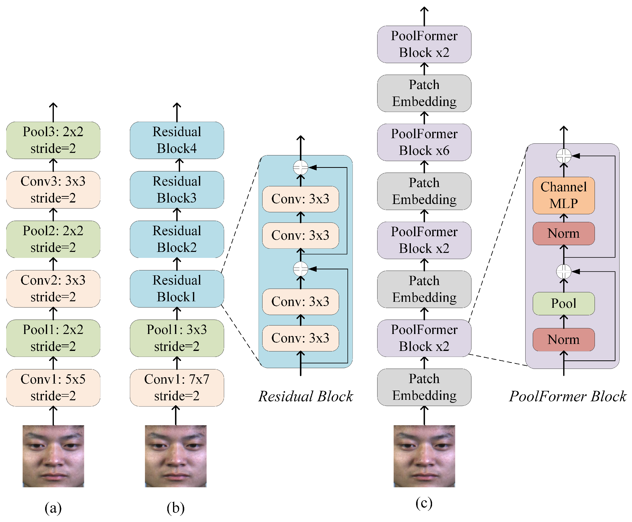 Entropy 28 00150 g006 Entropy 28 00150 g006