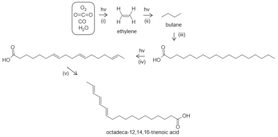Entropy 28 00246 g005