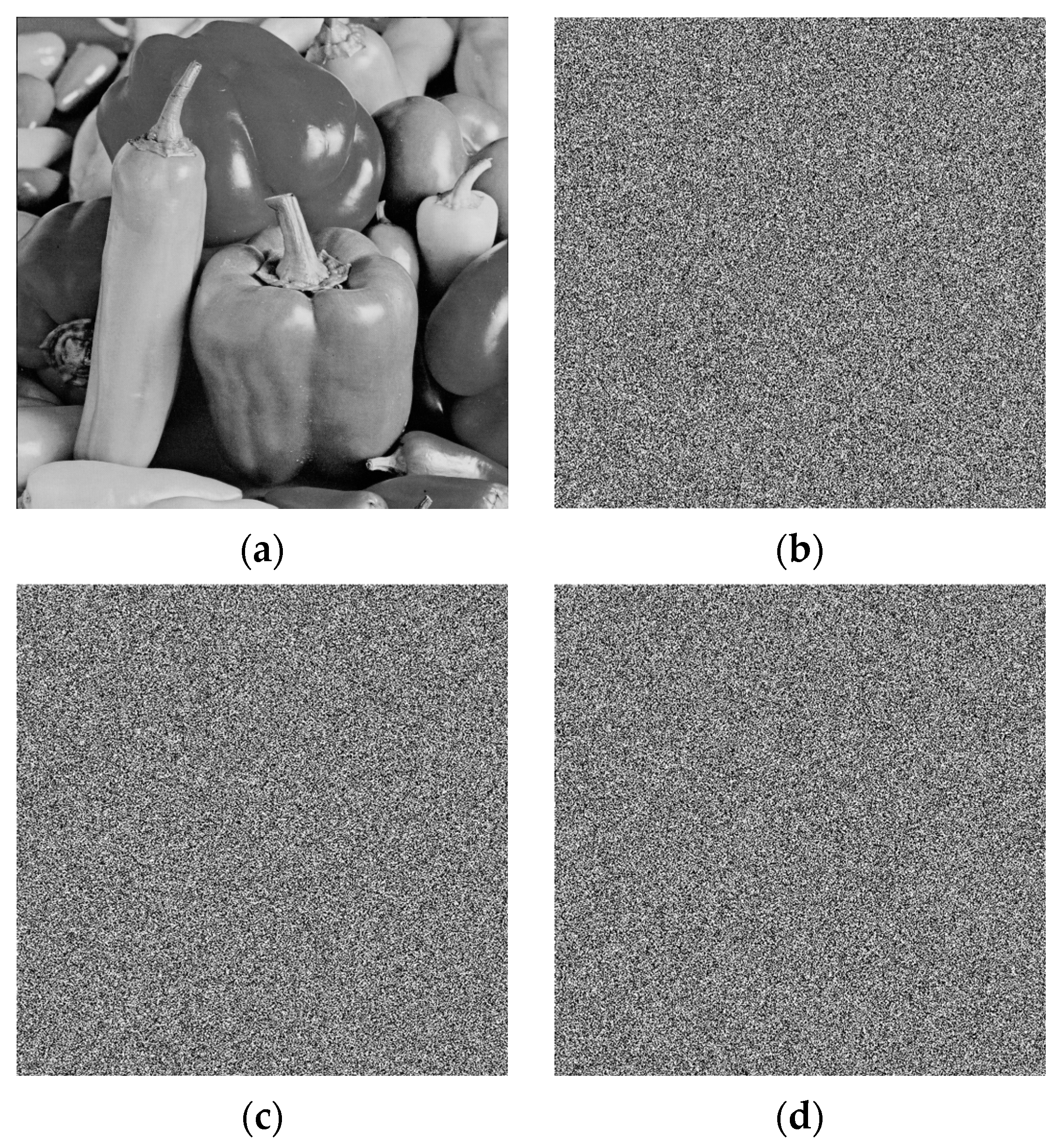 Entropy 28 00576 g012 Entropy 28 00576 g012