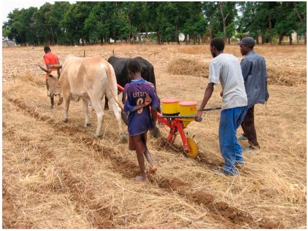 Environments 02 00139 g002 1024