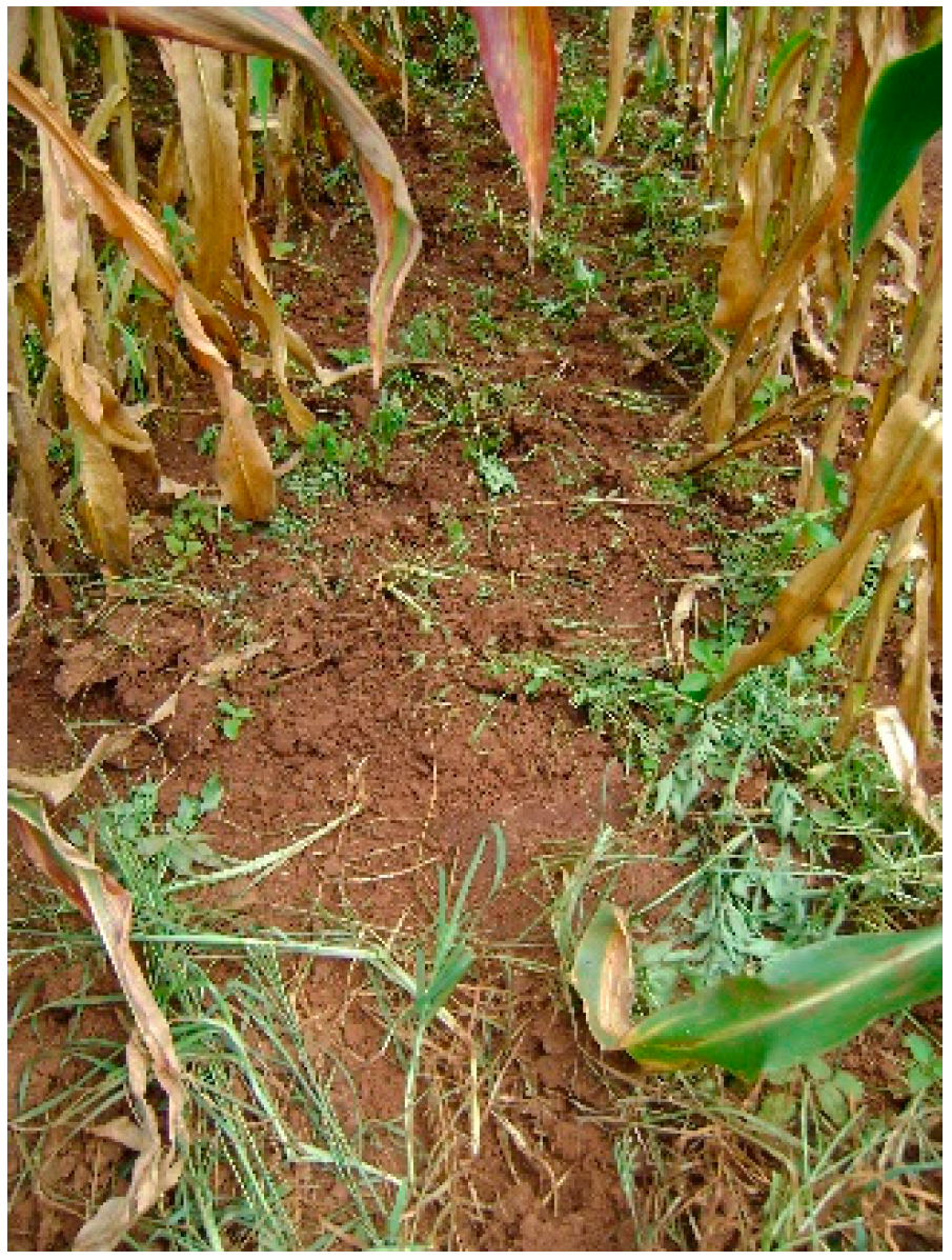 Environments 02 00139 g006 1024