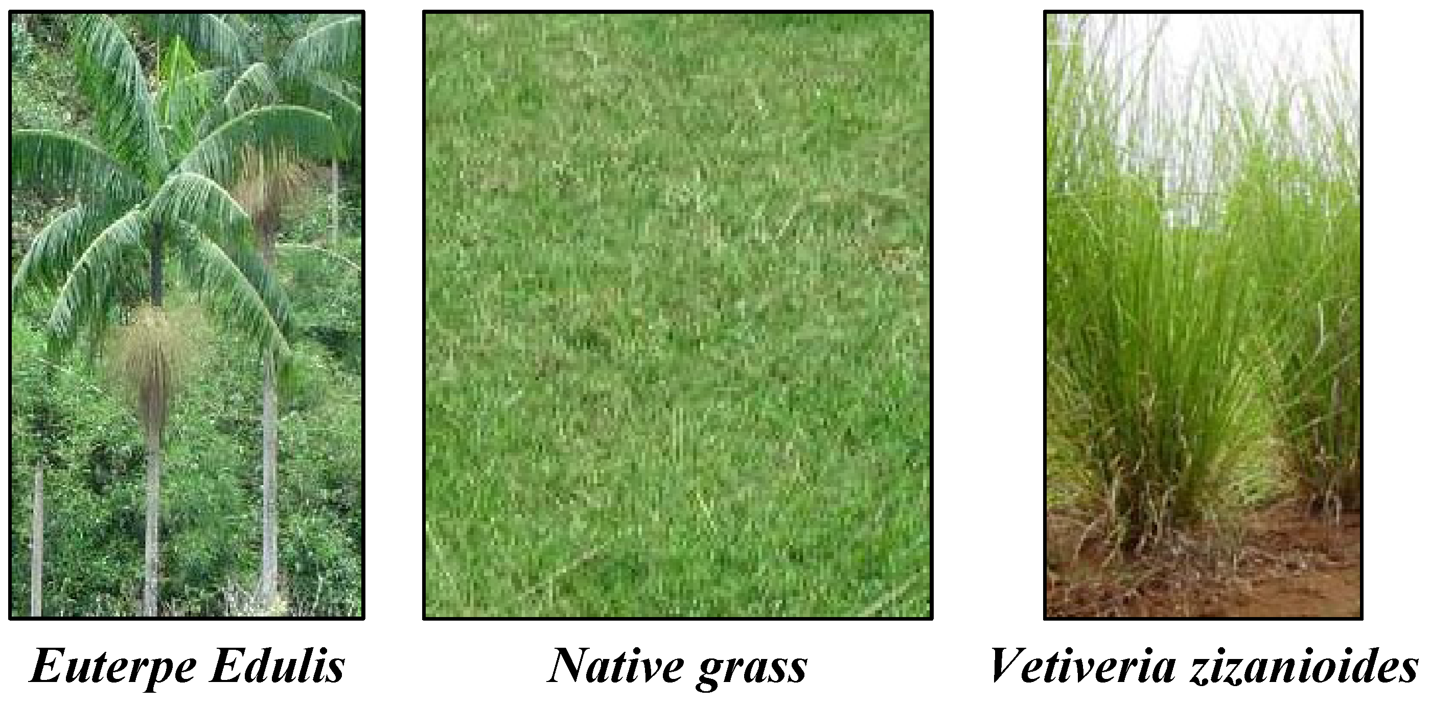 Environments 02 00489 g006