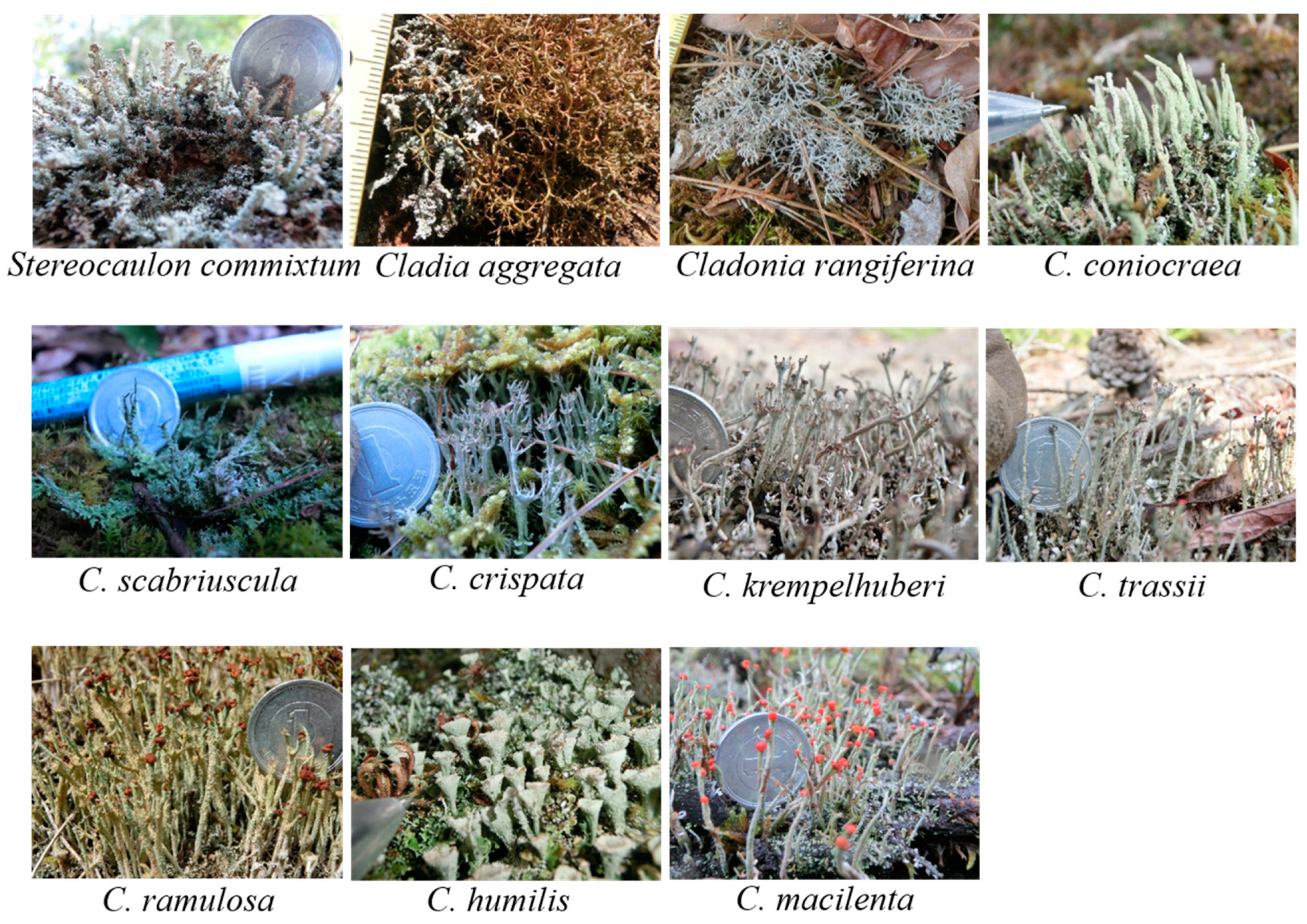 Environments 03 00035 g002