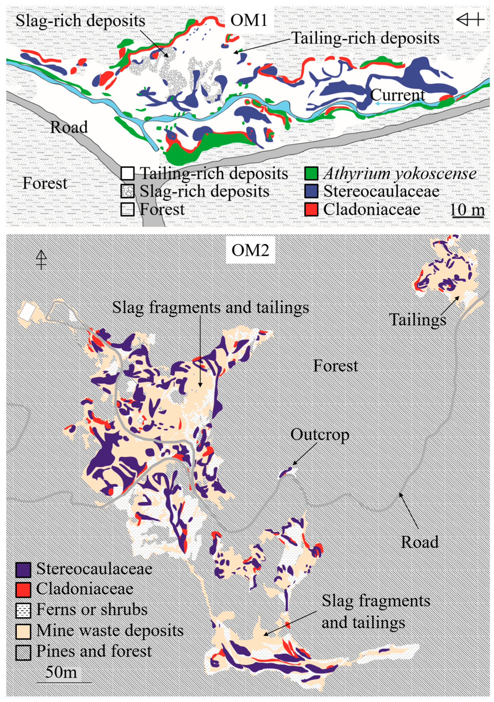 Environments 03 00035 g003