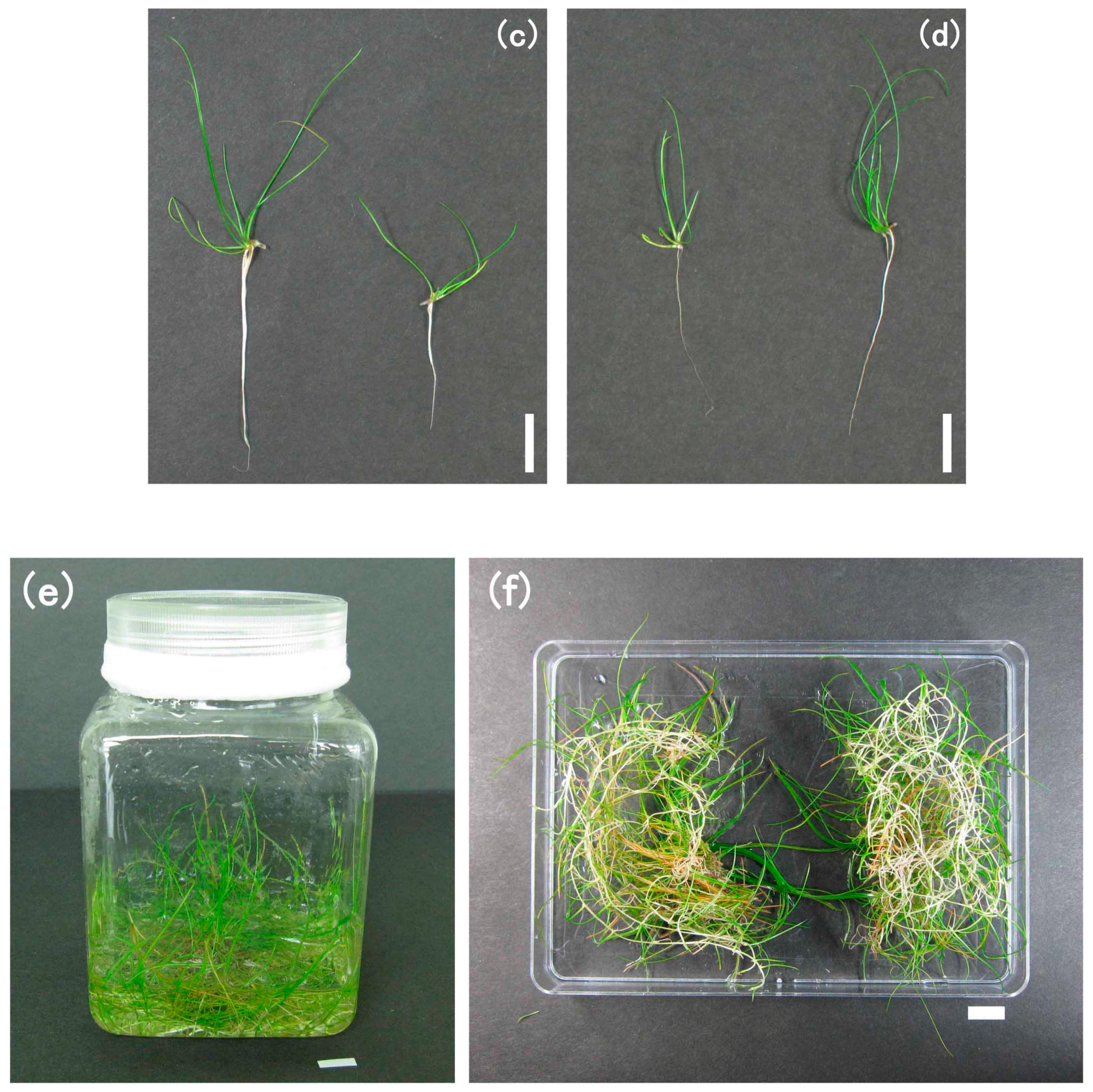 Environments 04 00040 g002b