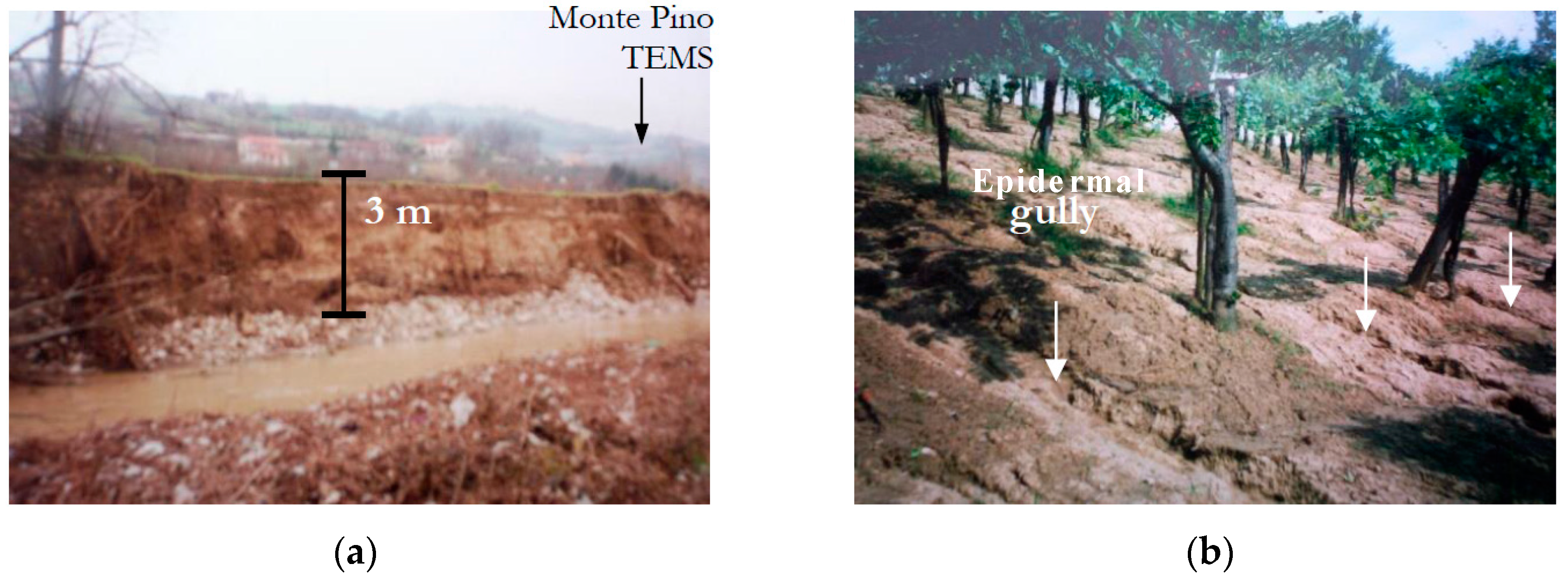 Environments 04 00058 g007