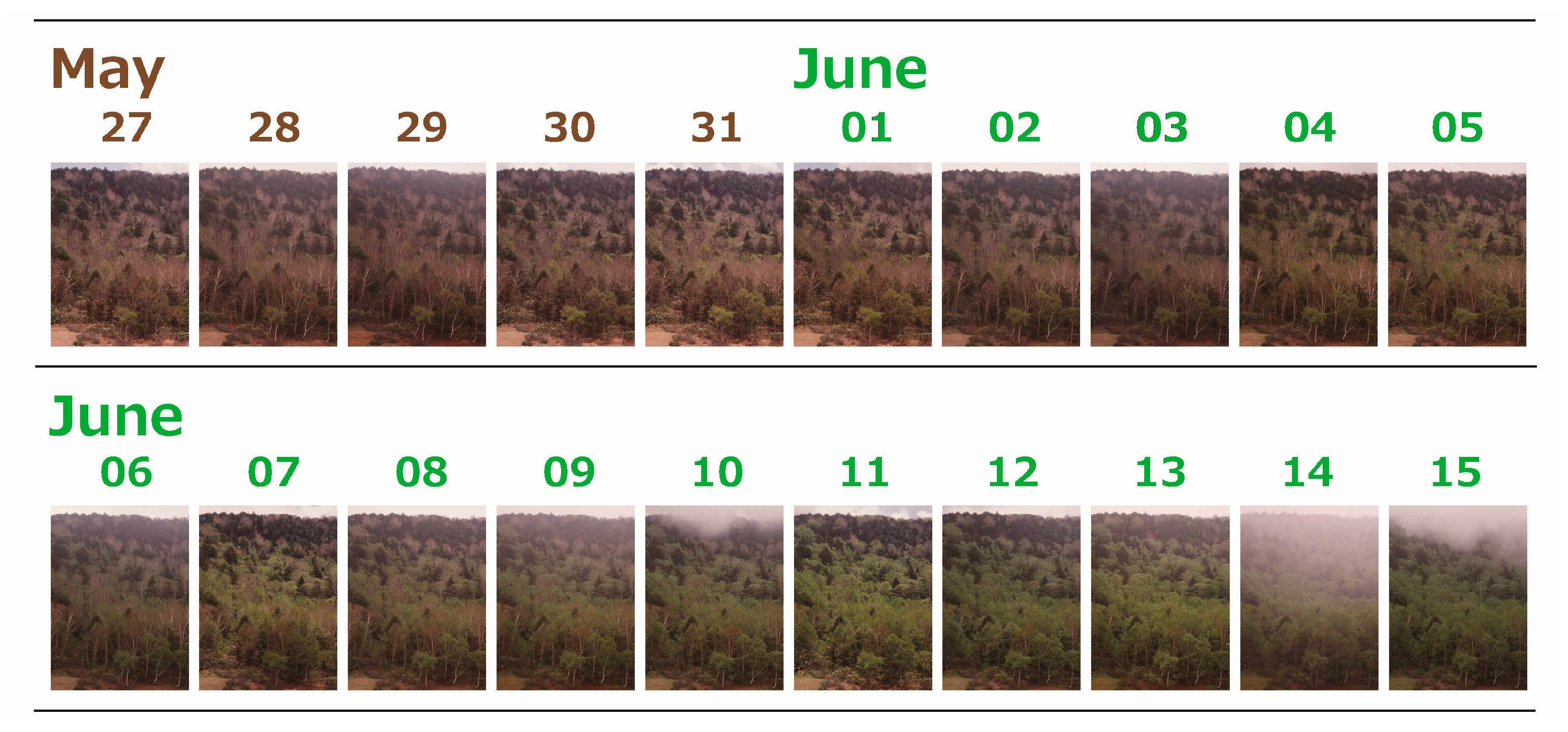 Environments 05 00007 g005