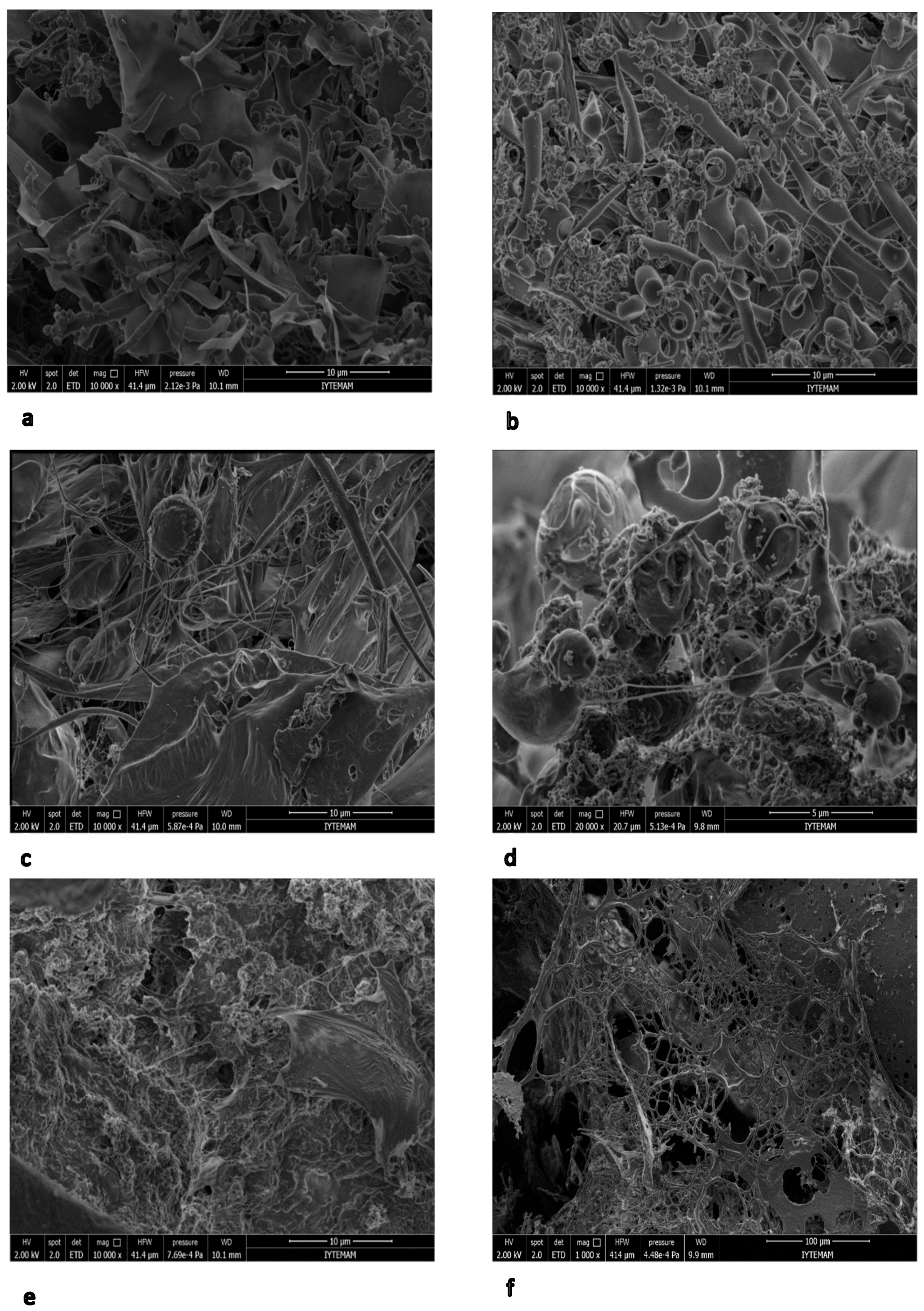 Environments 05 00063 g008